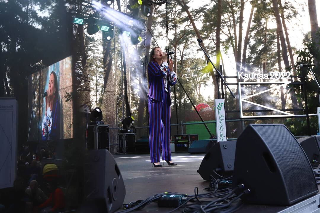 Festivalis "Akacijų alėja"