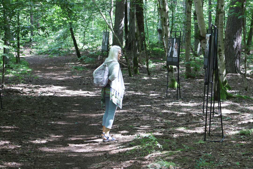 Panemunės festivalis "Pojūčių šilas"