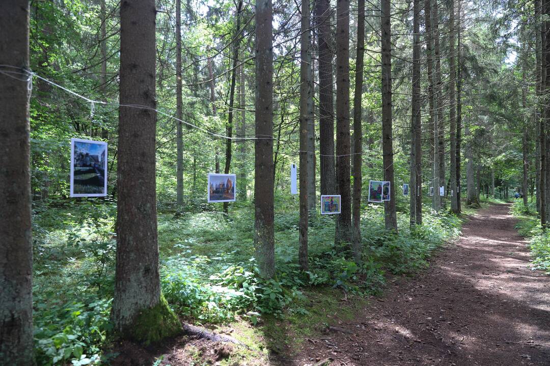 Panemunės festivalis "Pojūčių šilas"