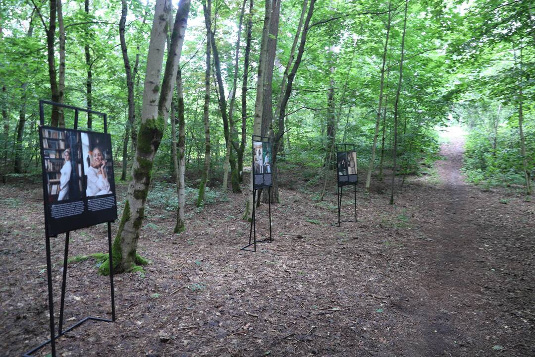 Panemunės festivalis "Pojūčių šilas"