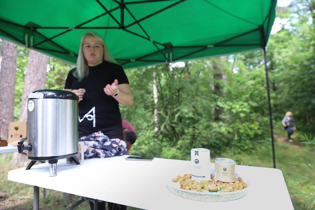 Panemunės festivalis "Pojūčių šilas"