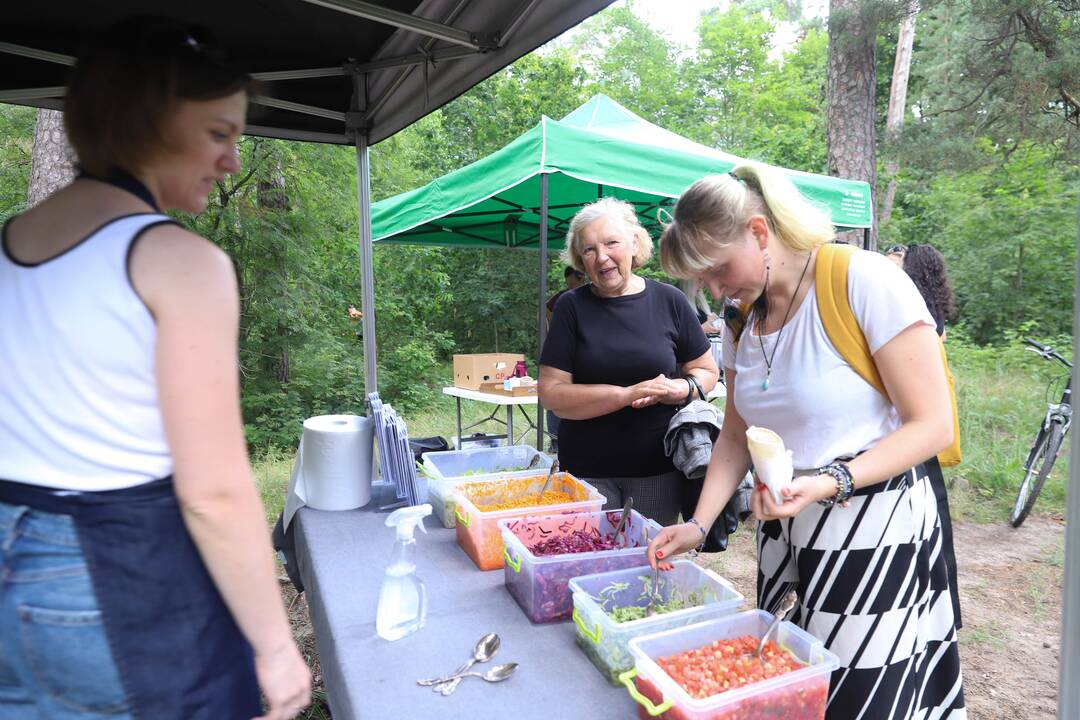 Panemunės festivalis "Pojūčių šilas"