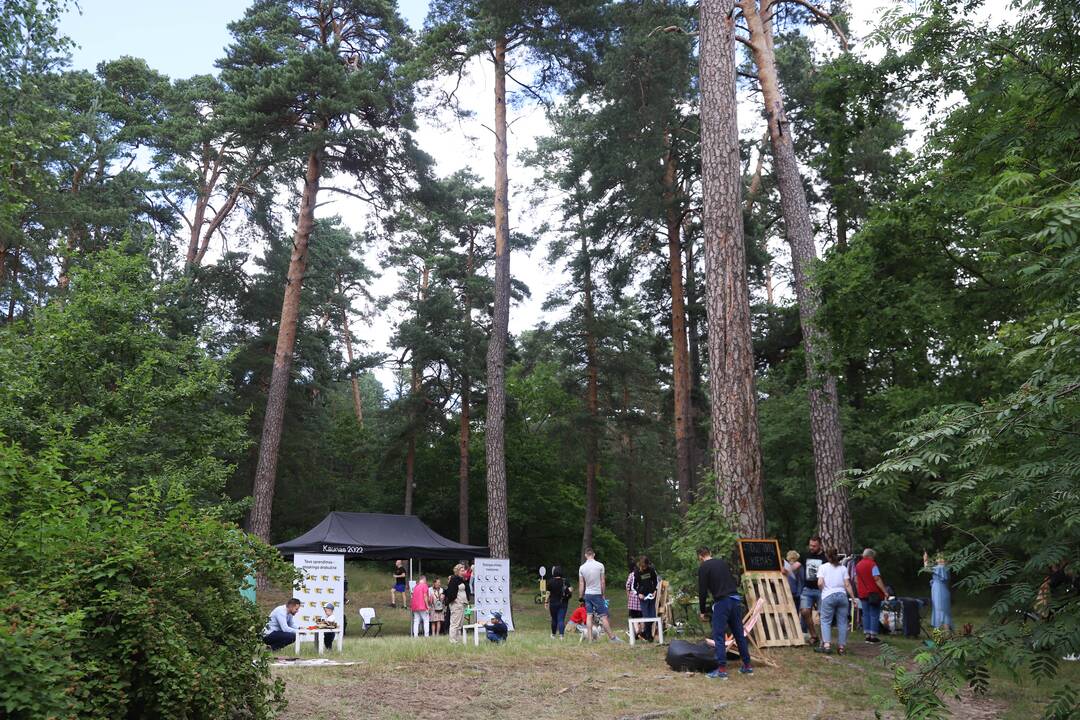 Panemunės festivalis "Pojūčių šilas"