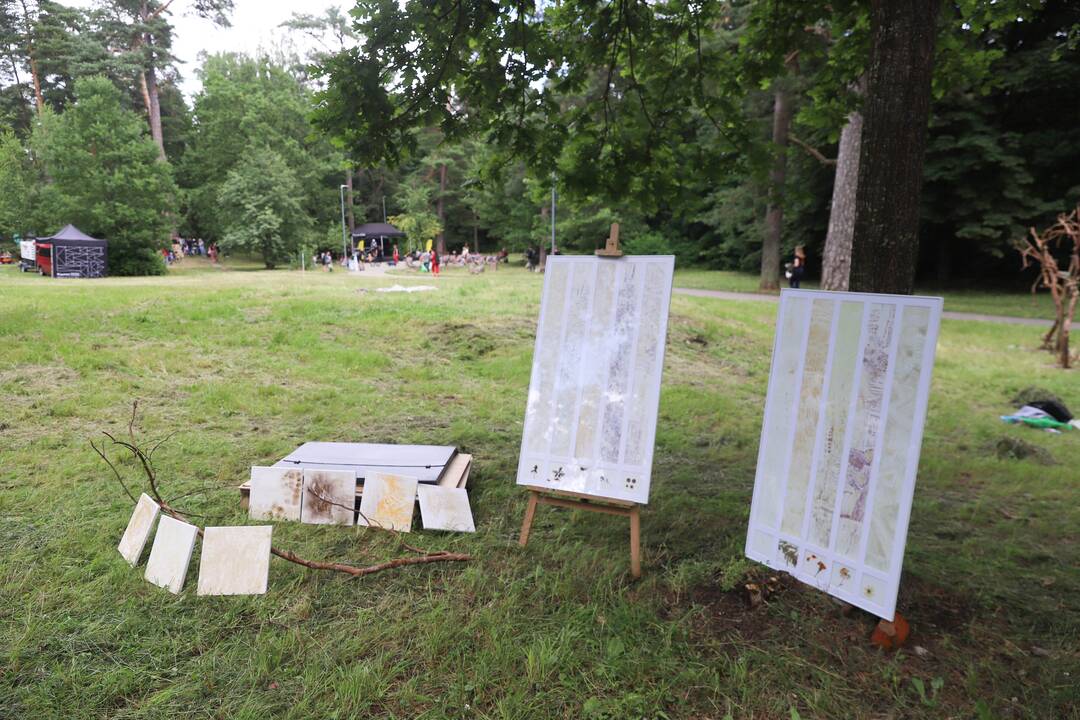 Panemunės festivalis "Pojūčių šilas"