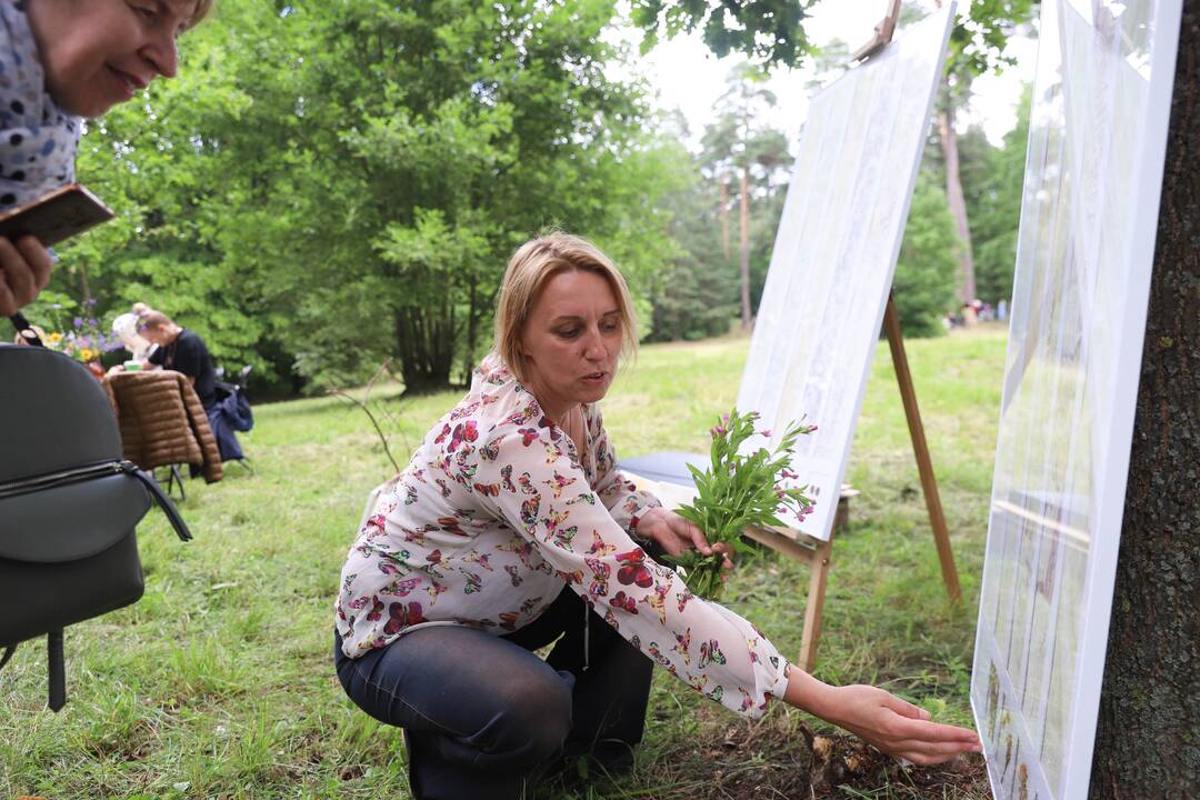 Panemunės festivalis "Pojūčių šilas"
