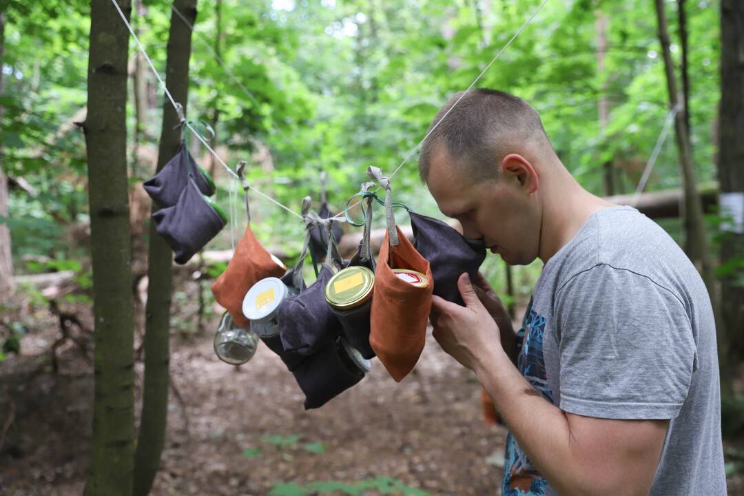 Panemunės festivalis "Pojūčių šilas"