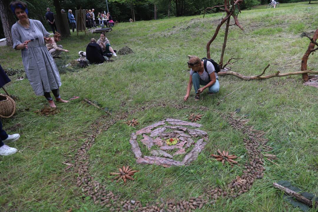 Panemunės festivalis "Pojūčių šilas"