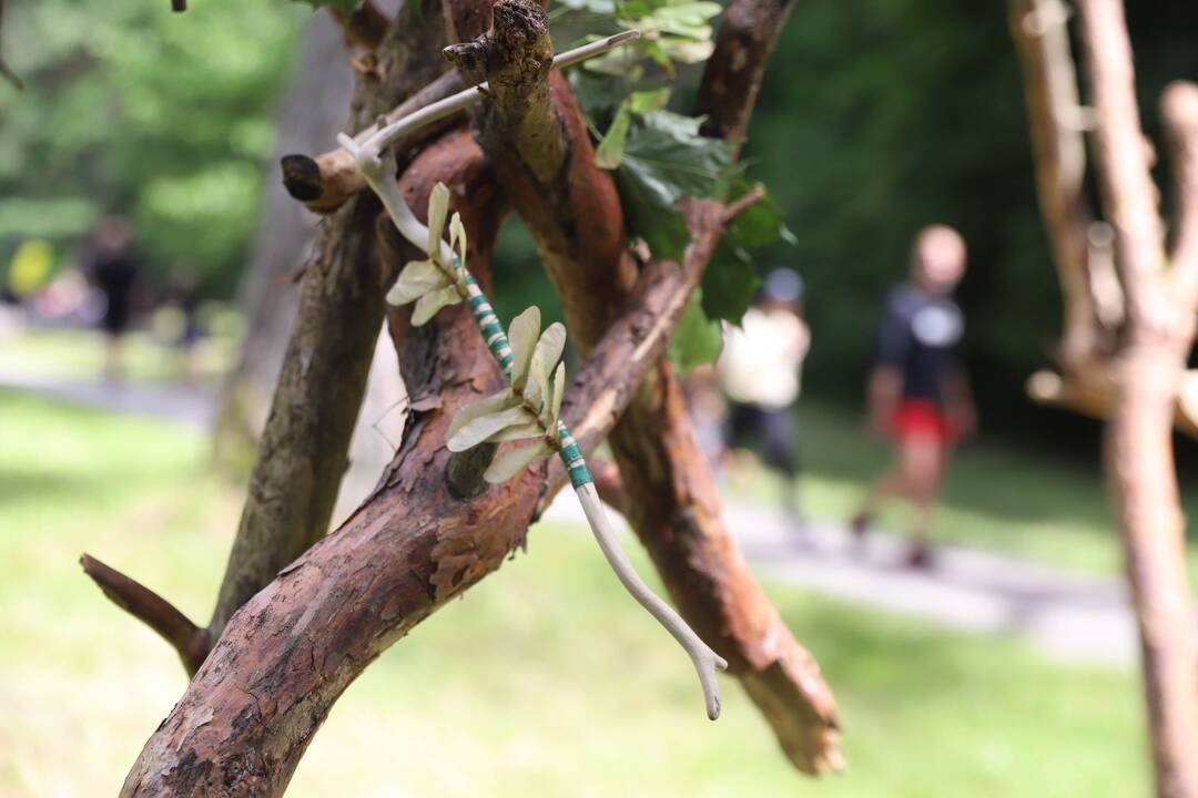 Panemunės festivalis "Pojūčių šilas"