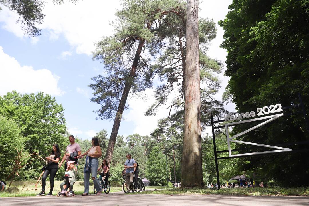 Panemunės festivalis "Pojūčių šilas"