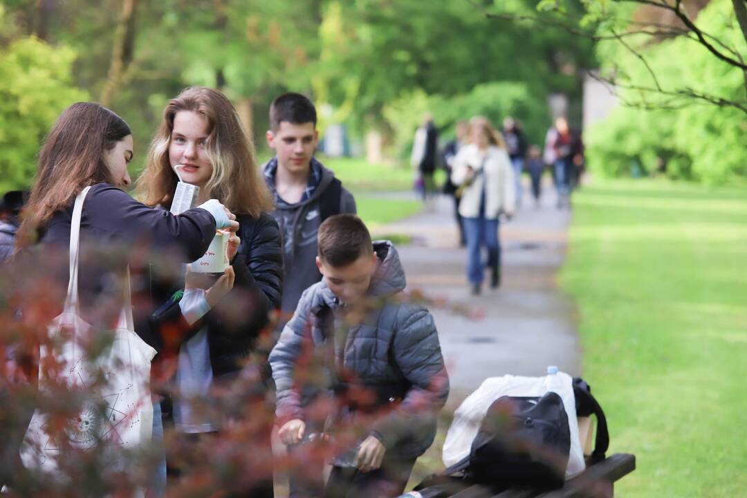 VDU Botanikos sode vyko "Solidarus piknikas ukrainiečiams ir lietuviams"
