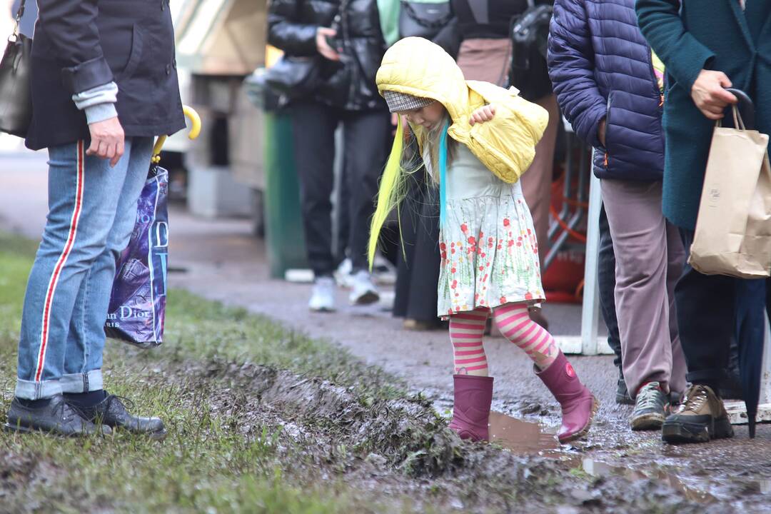 VDU Botanikos sode vyko "Solidarus piknikas ukrainiečiams ir lietuviams"