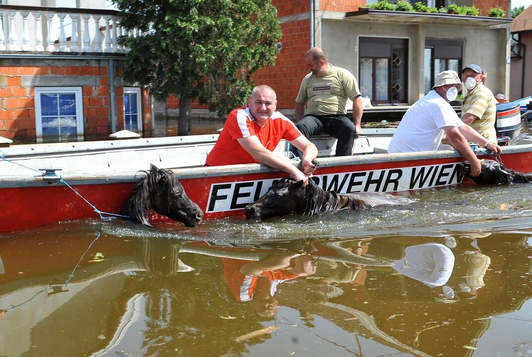 Kauno „Žalgirio“ krepšininkai padės nuo potvynių Balkanuose nukentėjusiems žmonėms