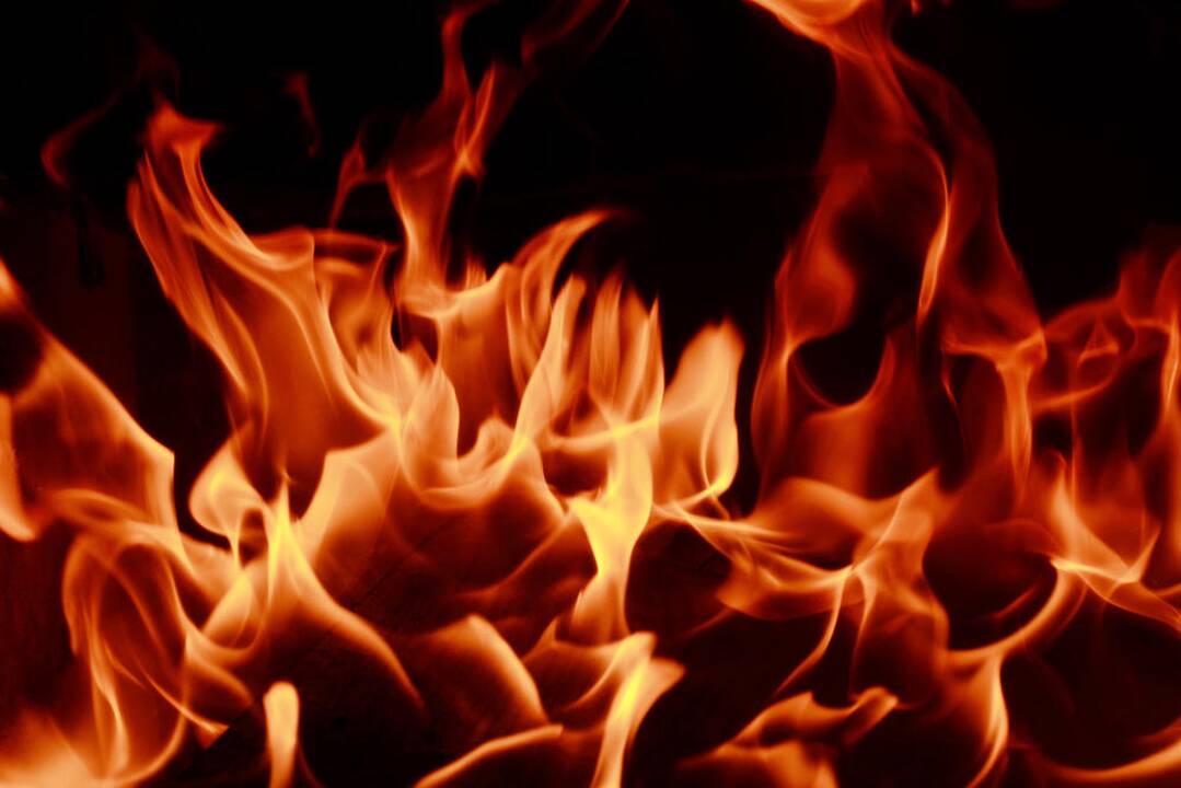 Kaune įsiplieskė romų karas