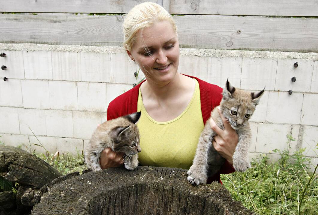 Lūšiukai Klaipėdos zoologijos sode