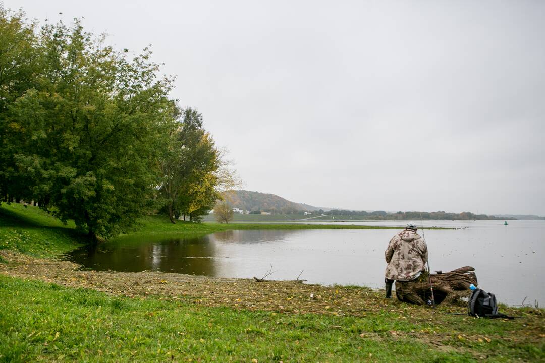 Patvinęs Nemunas