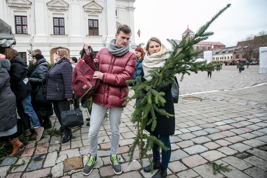  Akcija "Parsinešk Kalėdas į savo namus"