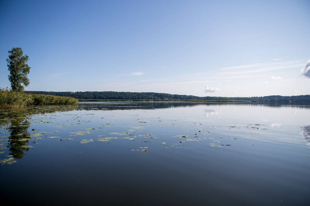 „Robinzonų sala“ Kauno mariose