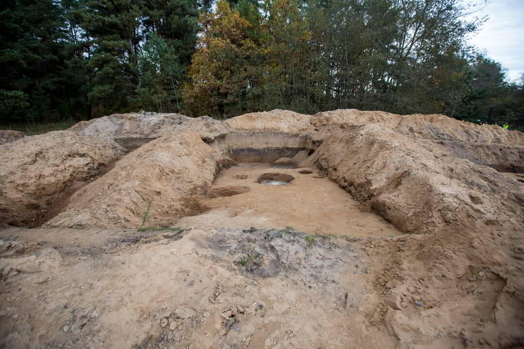 Archeologiniai kasinėjimai Pyplių piliakalnyje