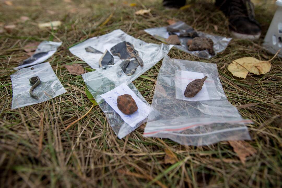 Archeologiniai kasinėjimai Pyplių piliakalnyje