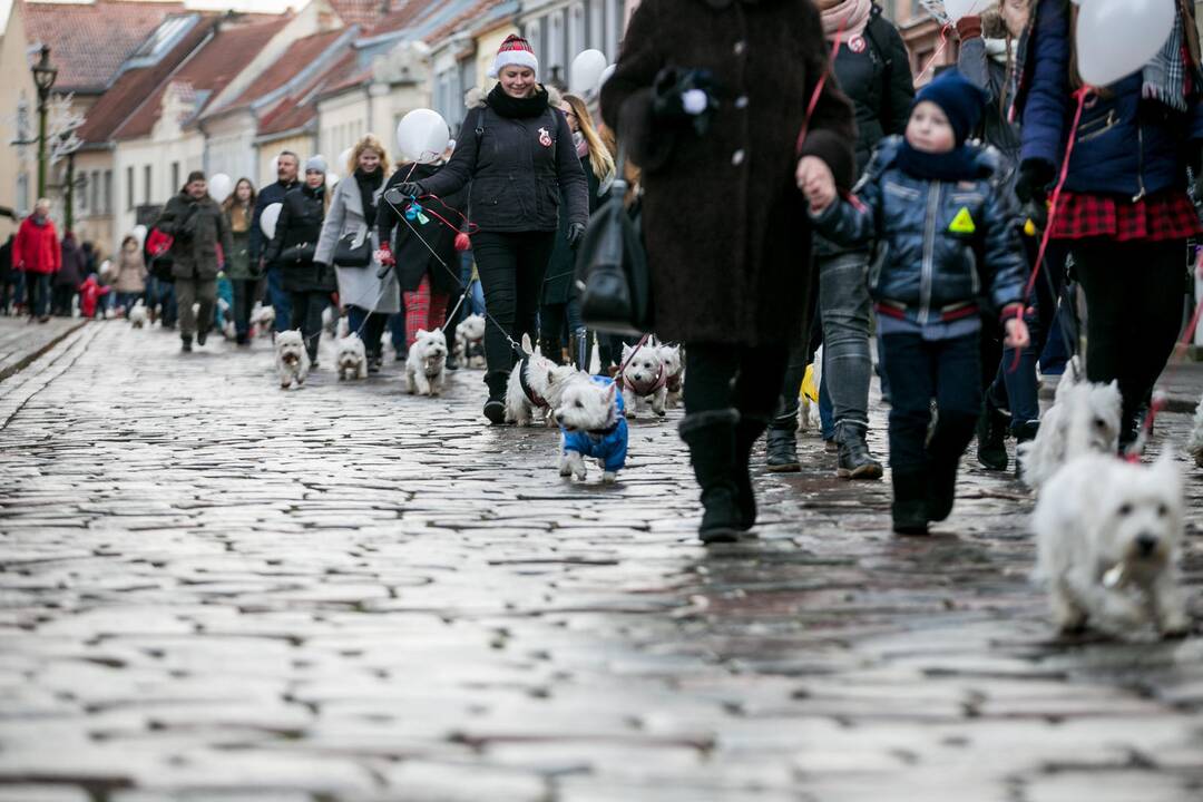 Šv. Mikalojaus eisena į Kauno Rotušę