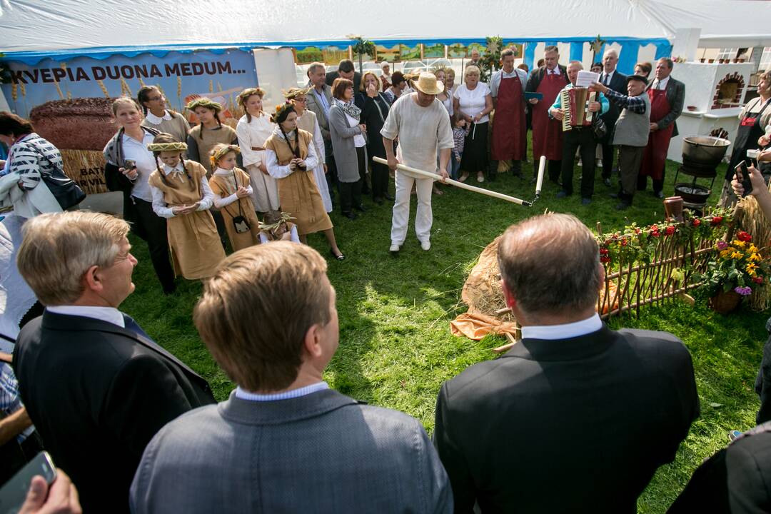 "Rudens sambarių" šventė Raudondvaryje