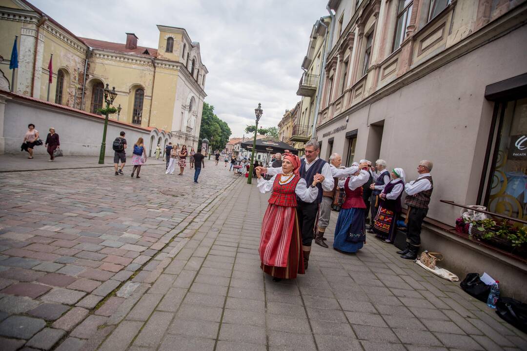 „Atataria lamzdžiai" 2017