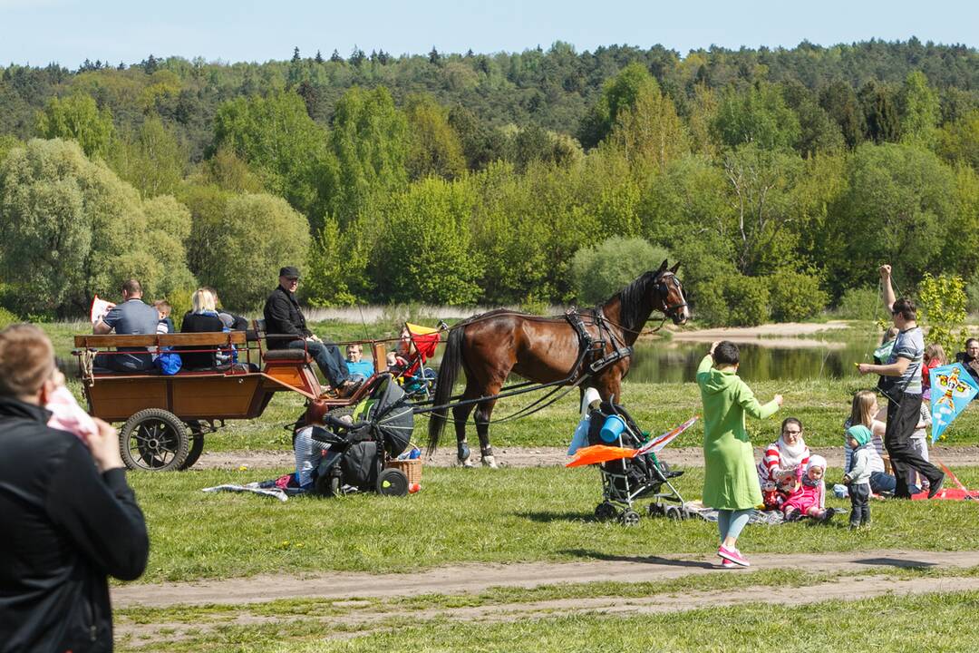 Aitvarų šventė Zapyškyje 2015