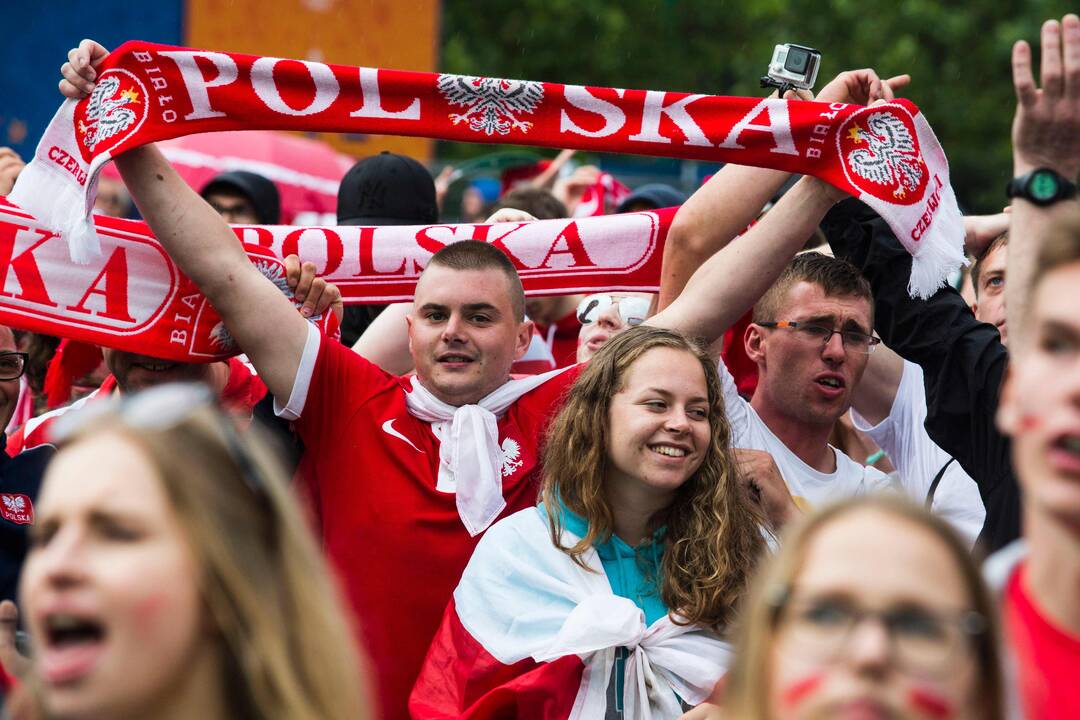 Euro 2016: Lenkija - Šiaurės Airija 1:0