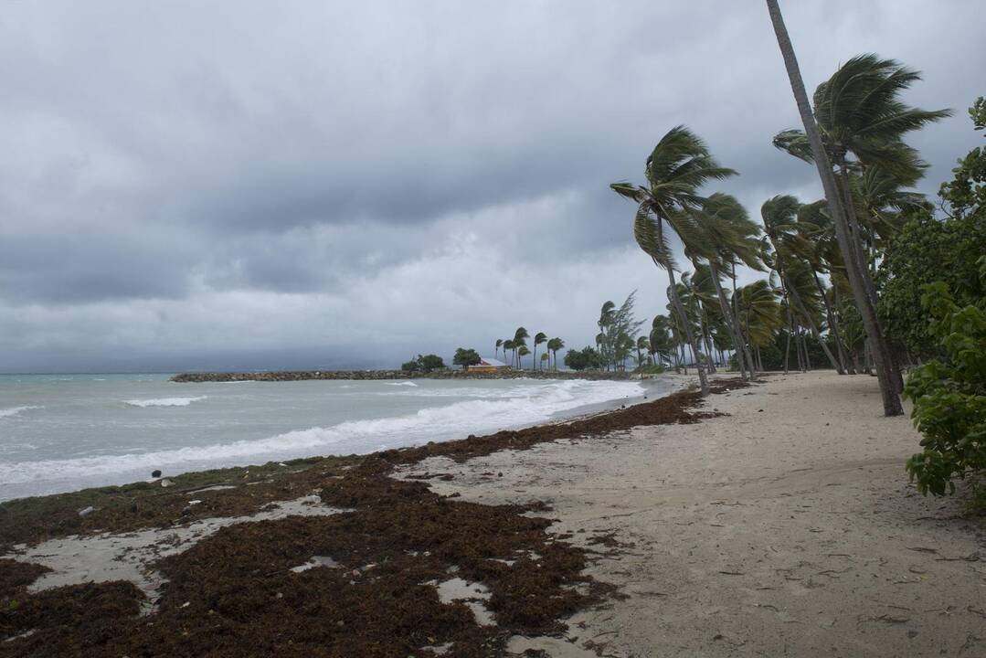 Uraganas „Irma“ Karibų regione