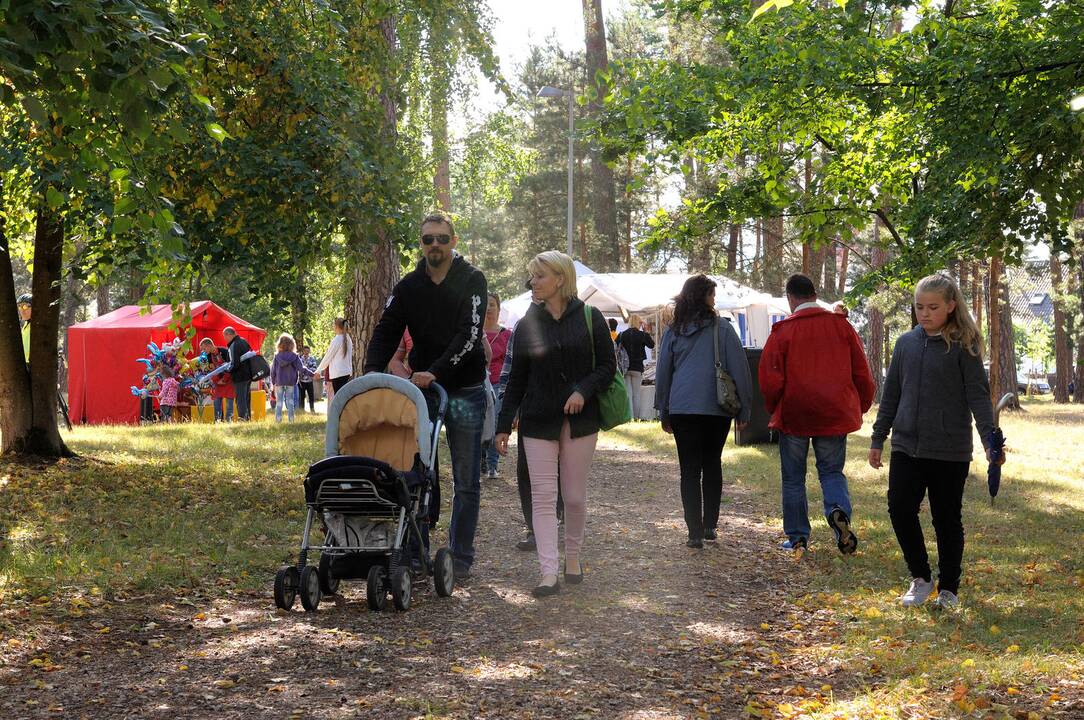 Kulautuvoje – jubiliejinė „Akacijų alėja“