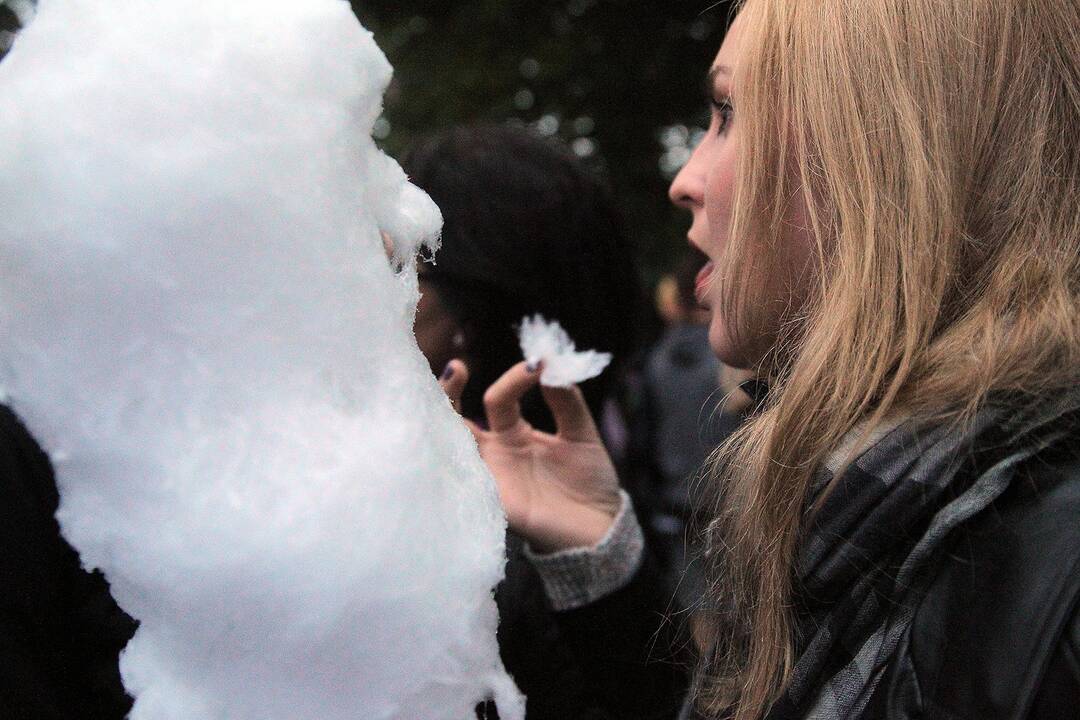 „Akacijų alėja 2017“