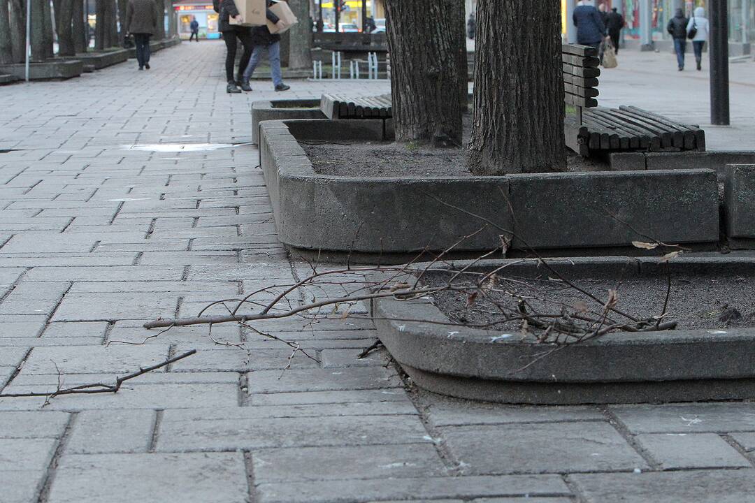 Kaune ir apylinkėse trečiadienį siautė stiprus vėjas.