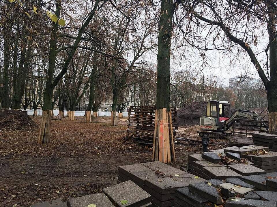 Įpusėjo pirmasis Lukiškių aištės tvarkymo etapas