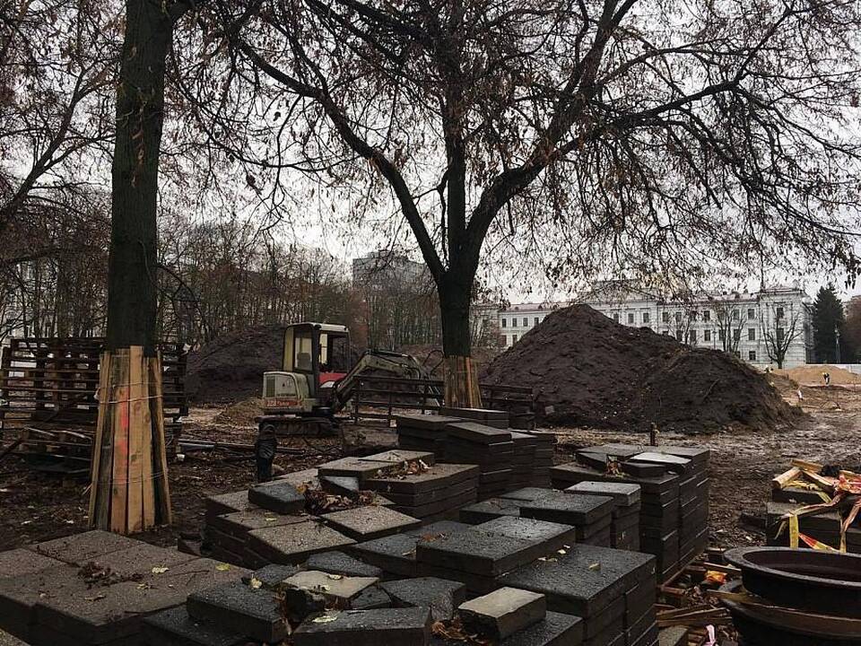 Įpusėjo pirmasis Lukiškių aištės tvarkymo etapas