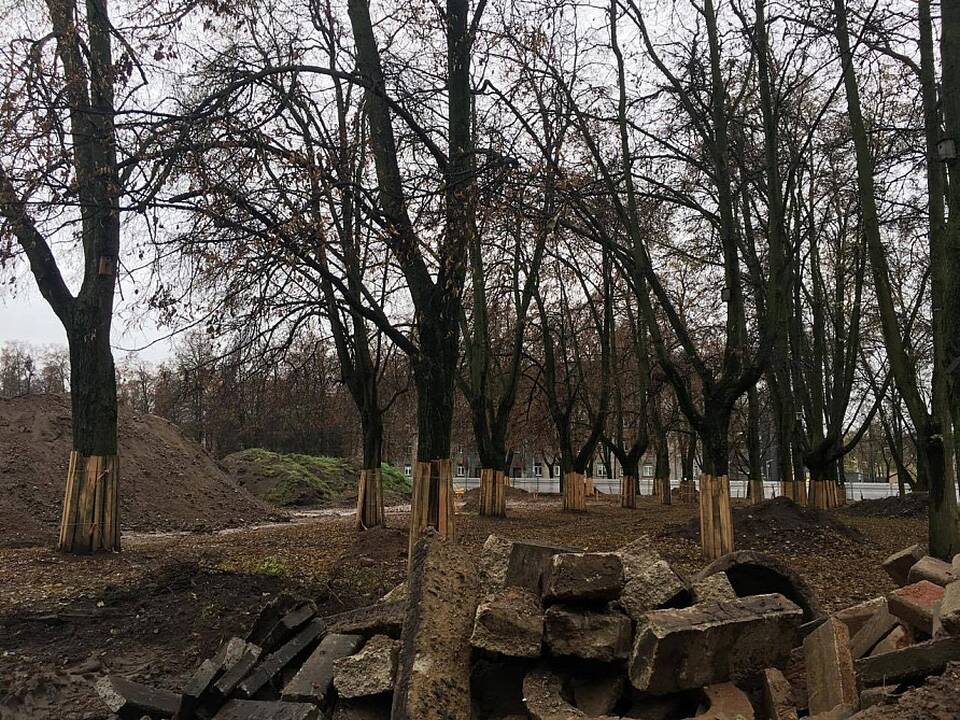 Įpusėjo pirmasis Lukiškių aištės tvarkymo etapas