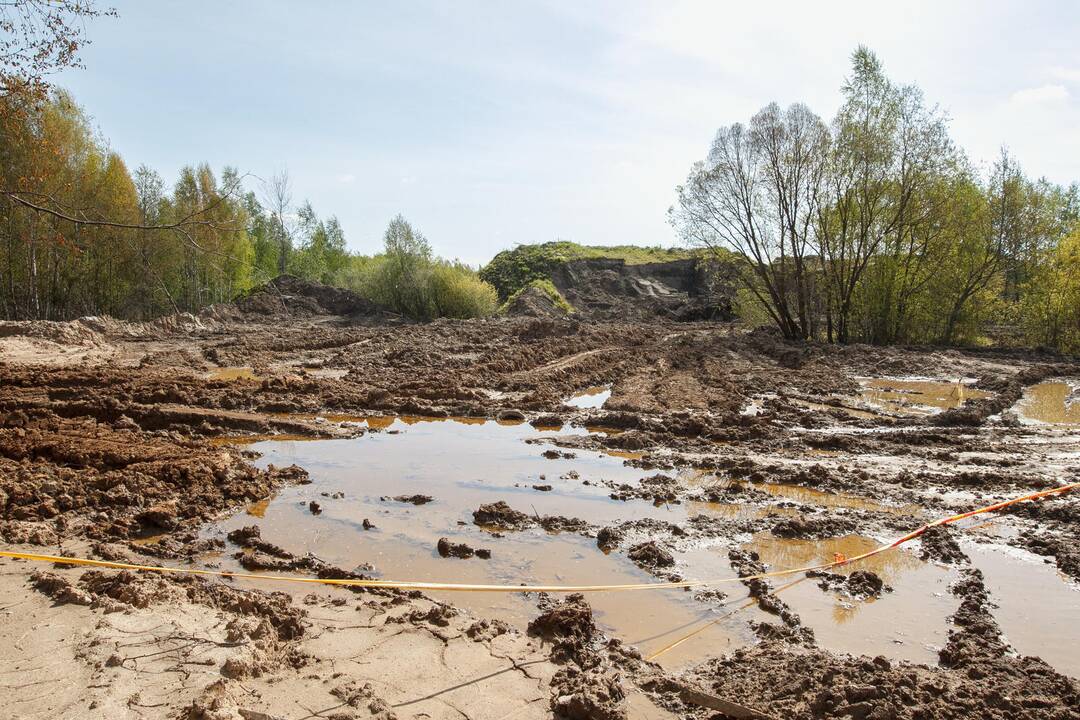 Chloro garai Taikos prospekte