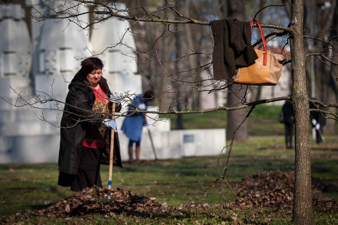 Pavasarinė talka Kaune