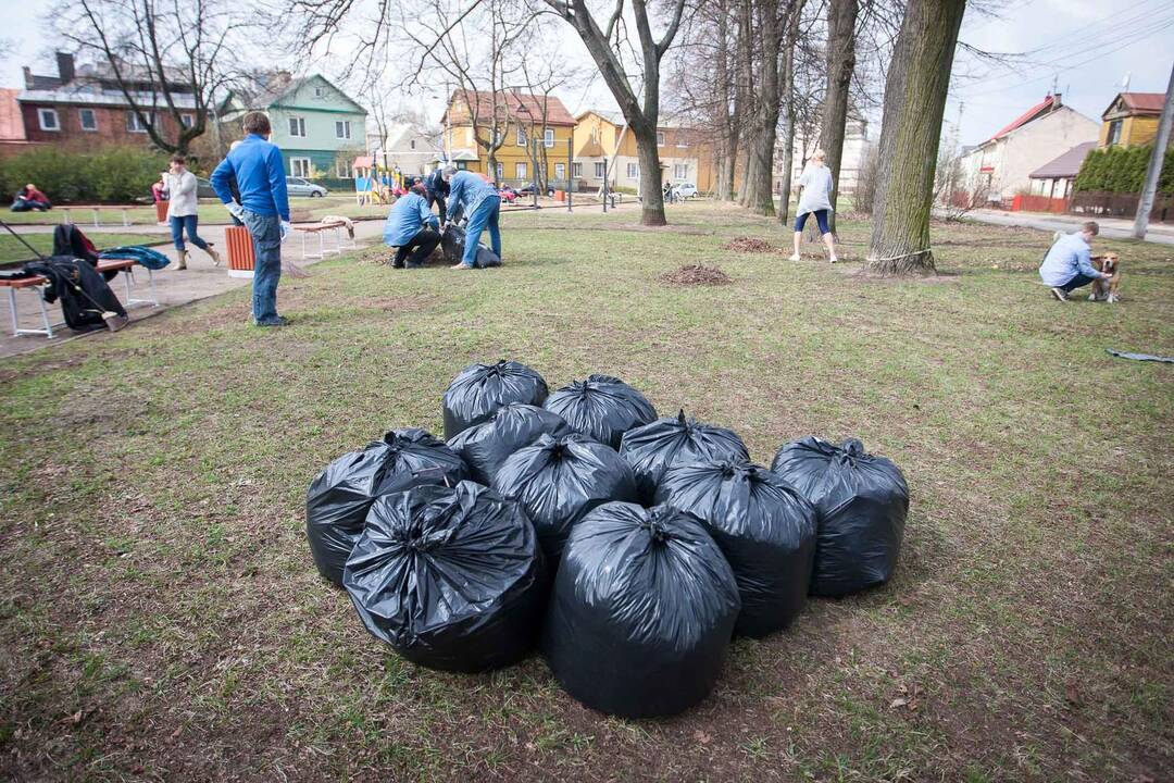 Pavasarinė talka Kaune