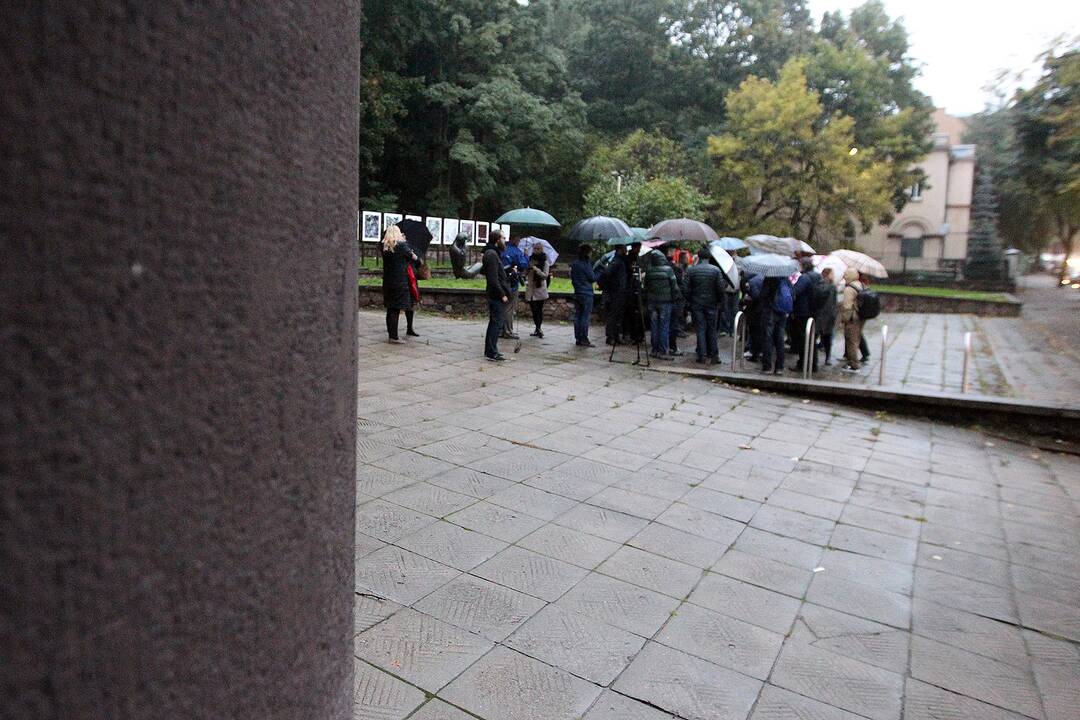 Visuomenės ir ekspertų diskusija dėl medžių