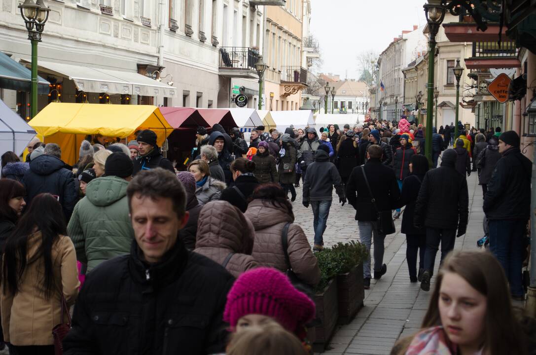 Mugės žvaigždė – avytė Kalėdytė