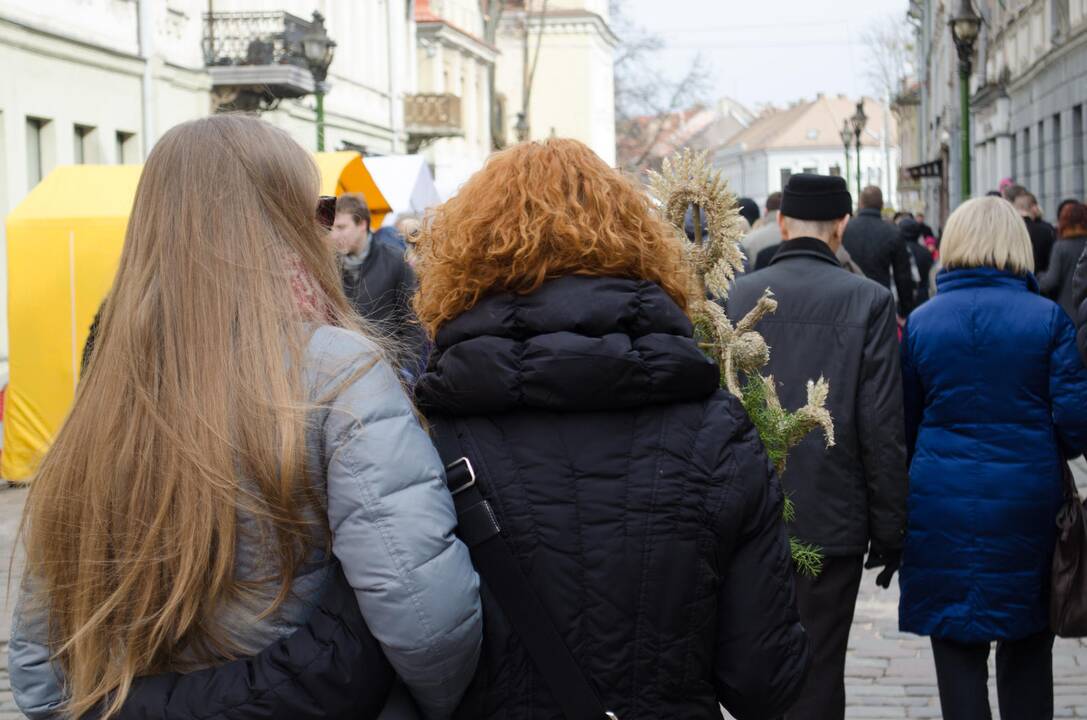 Mugės žvaigždė – avytė Kalėdytė