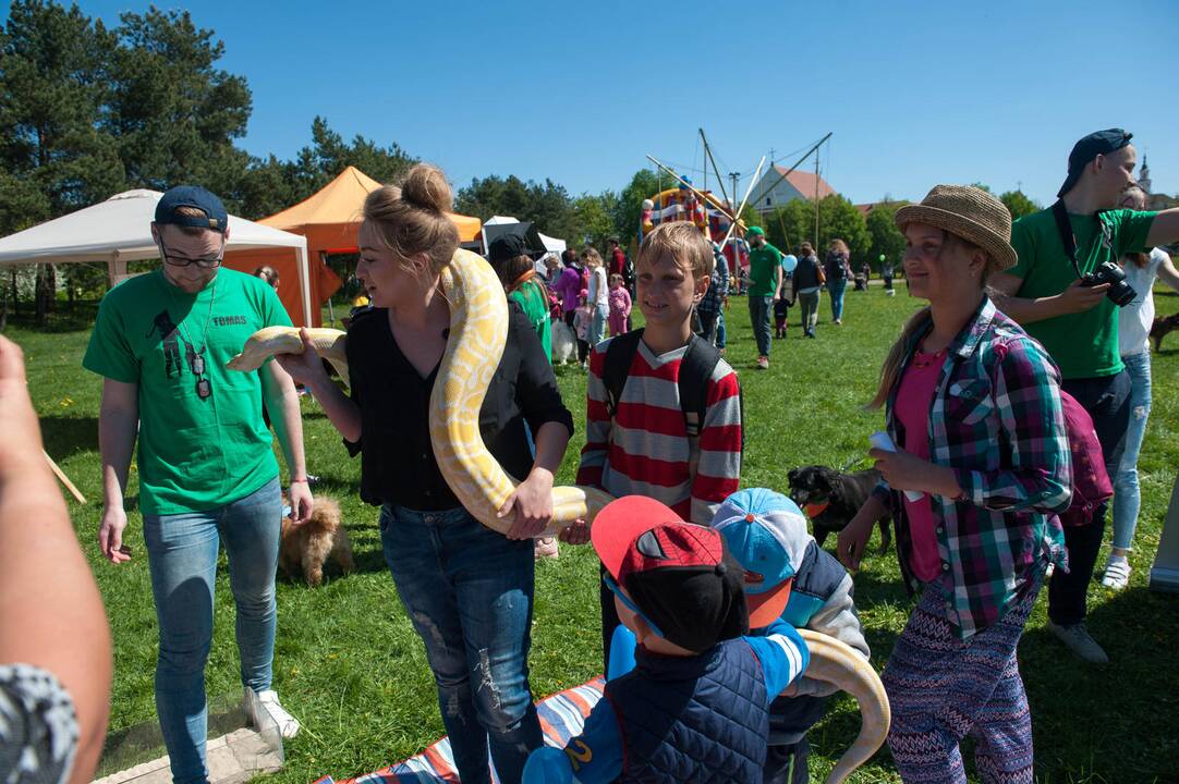 Šeimos savaitgalis su augintiniais