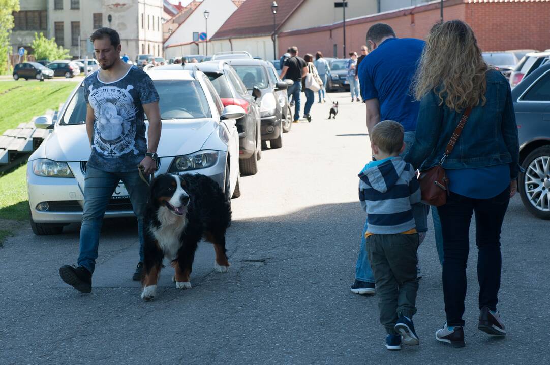 Šeimos savaitgalis su augintiniais