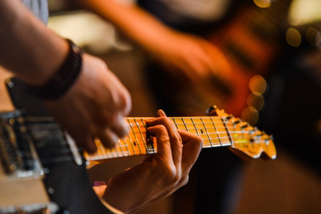 Festivalio „Bliuzo naktys“ akimirkos