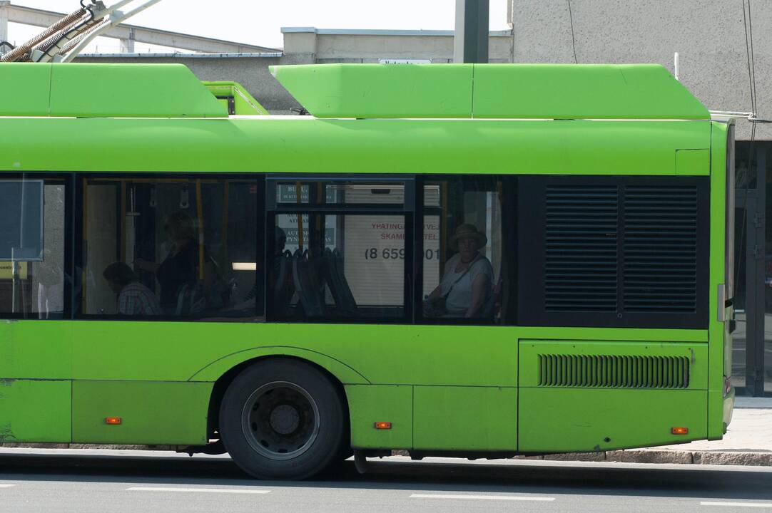 Vištų gynėjų protestas Kaune