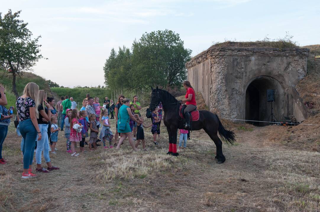 Naktigonė Kauno I forte