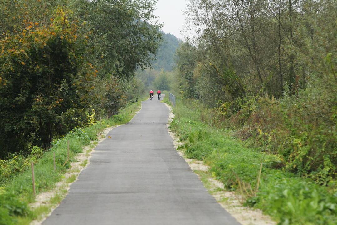 Dviračiu takas Marvelė-Kačerginė