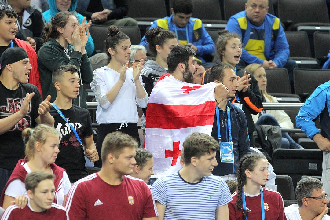 Europos jaunių dziudo komandinis čempionatas