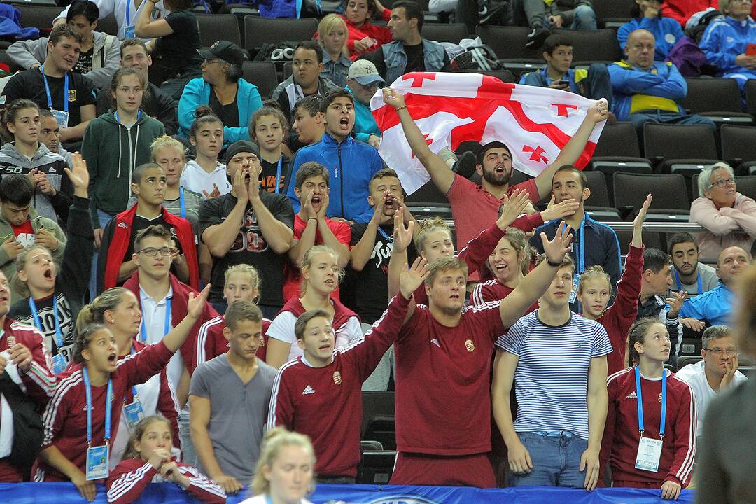 Europos jaunių dziudo komandinis čempionatas