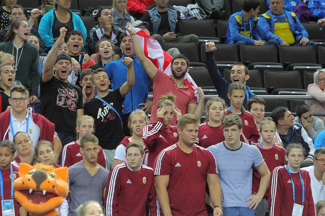 Europos jaunių dziudo komandinis čempionatas